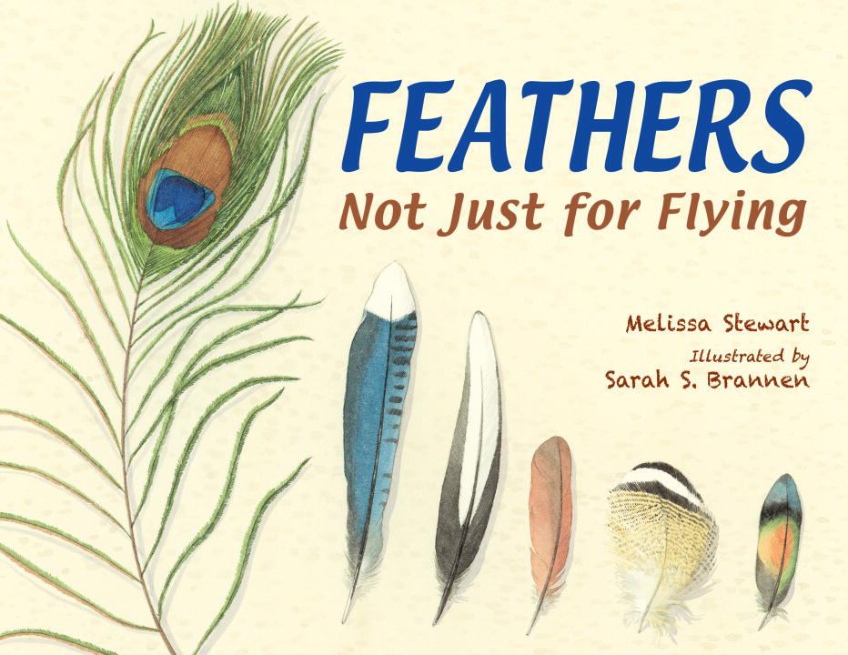 Cover of Feathers: Not Just for Flying